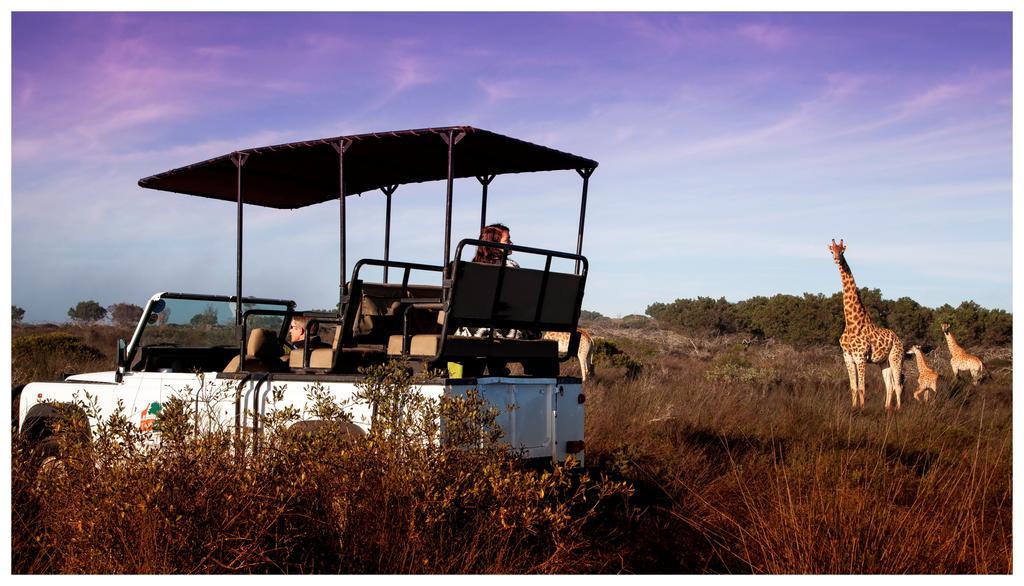 Thali Thali Game Lodge Langebaan Extérieur photo